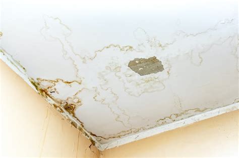 Water Leak in the Ceiling: Troubleshooting Guide